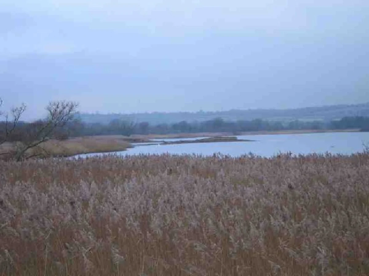 Chew Valley Lake and Stanton Drew Country Park