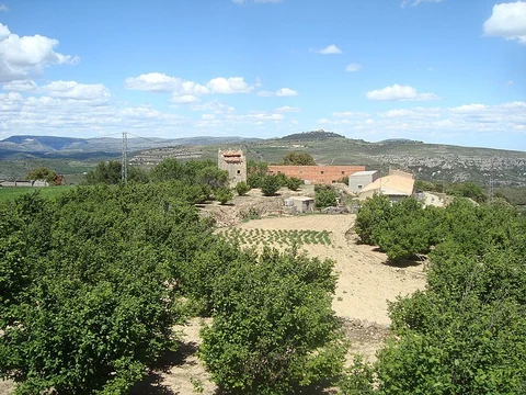 An image depicting the trail Cova del Bovalar PR CV 297 and its surrounding area.