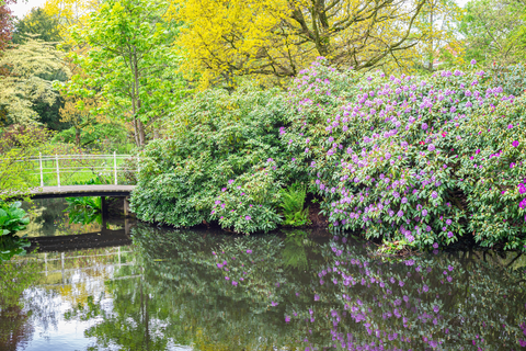 Elbertsbosch, Noordmolen and De Haar Loop
