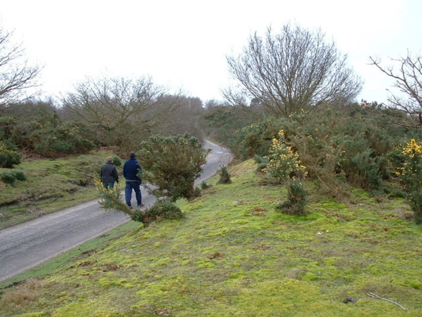 An image depicting the trail Westleton Loop and its surrounding area.