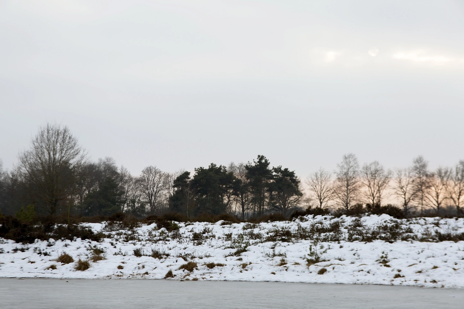 An image depicting the trail Lattropperveen, Bergvennen and Brecklenkampse Loop and its surrounding area.