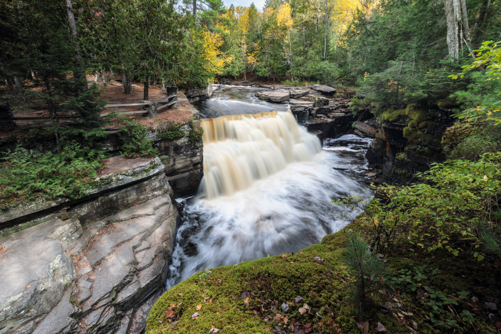 An image depicting the trail Gorge Falls Trail and its surrounding area.