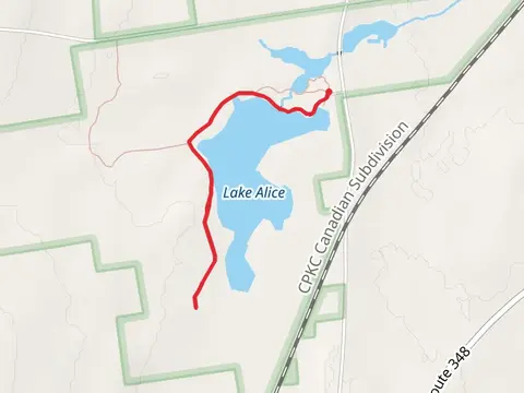 Lake Alice Trail
