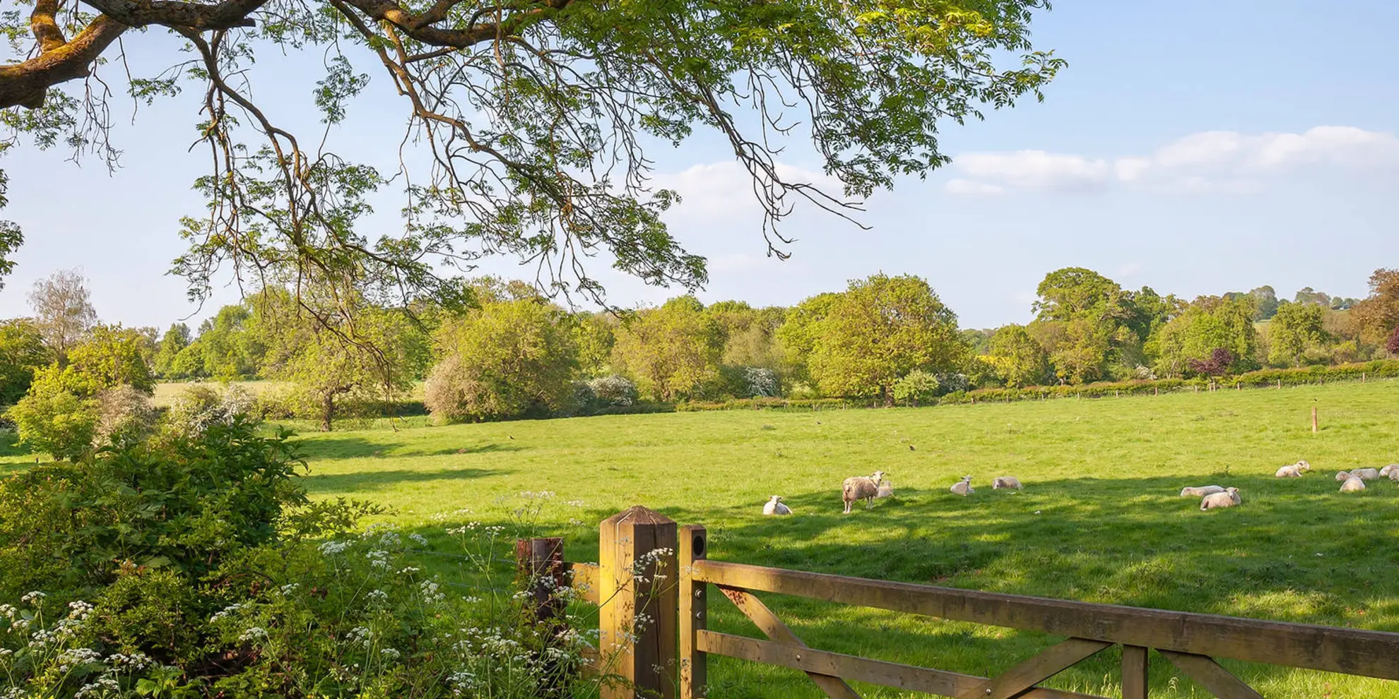 An image depicting the trail Mickleton - Hidcote Boyce - Hidcote Manor and Kiftsgate Court and its surrounding area.
