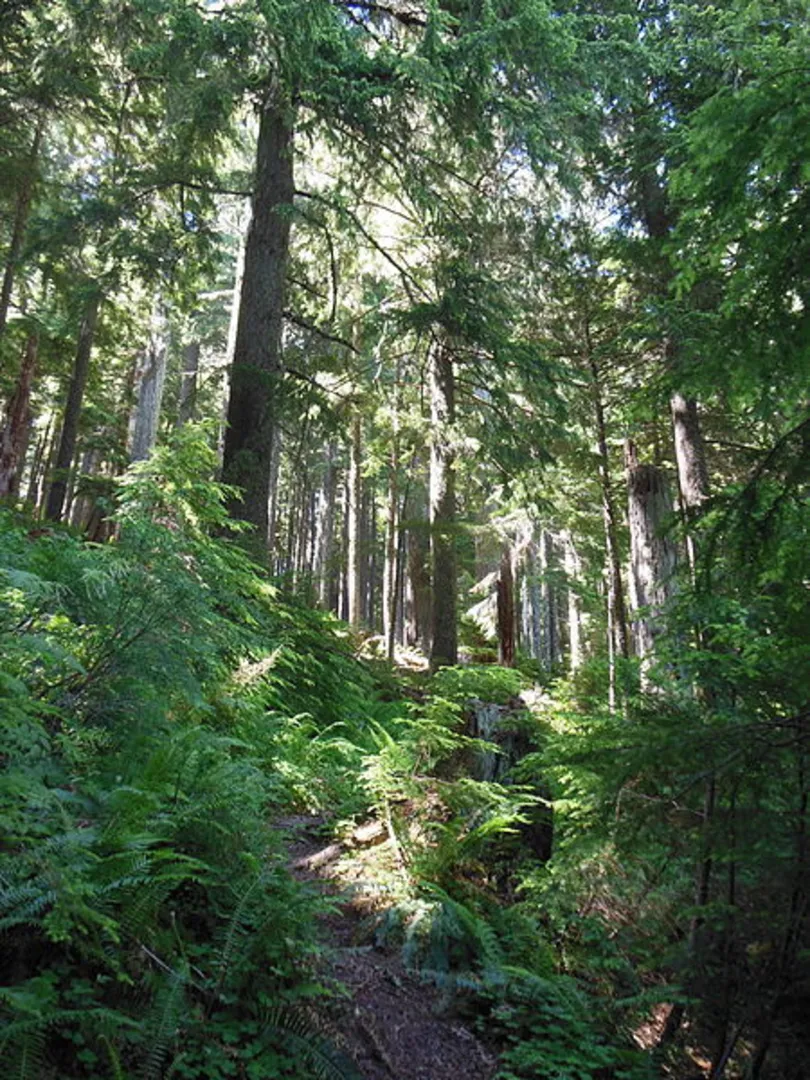 An image depicting the trail Mount June Trail and its surrounding area.