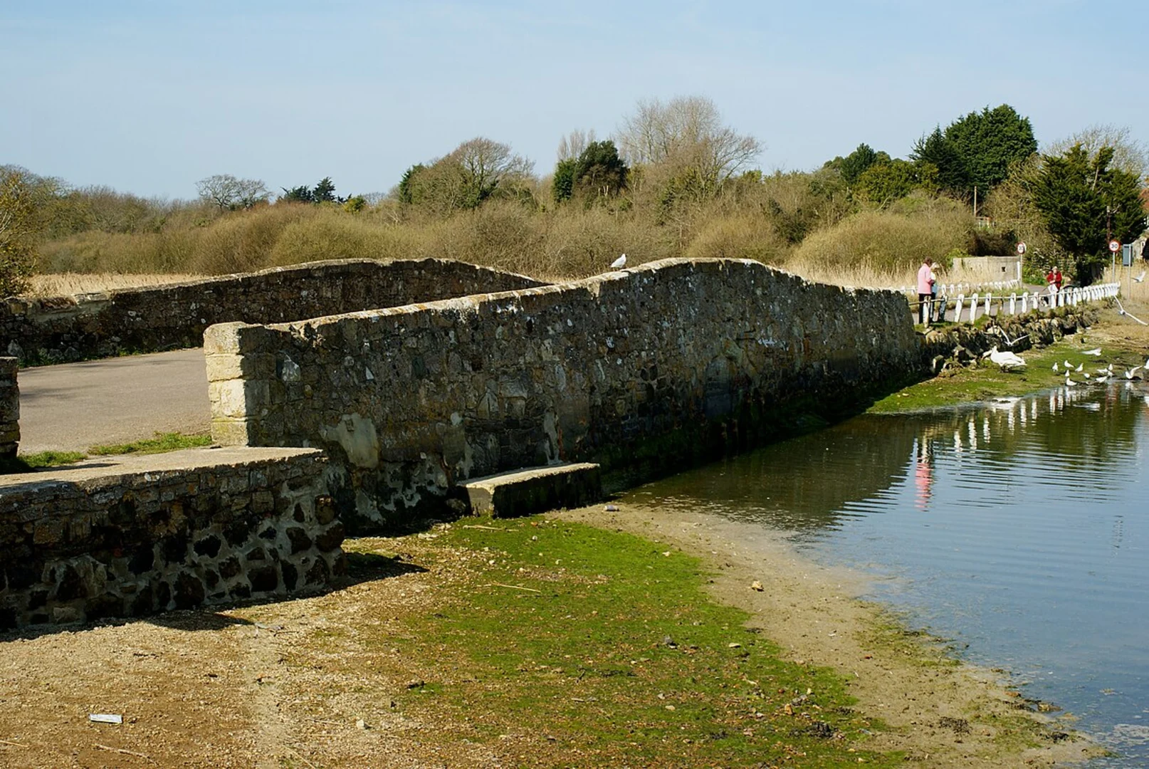 An image depicting the trail Yar Bridge and Freshwater Way and its surrounding area.