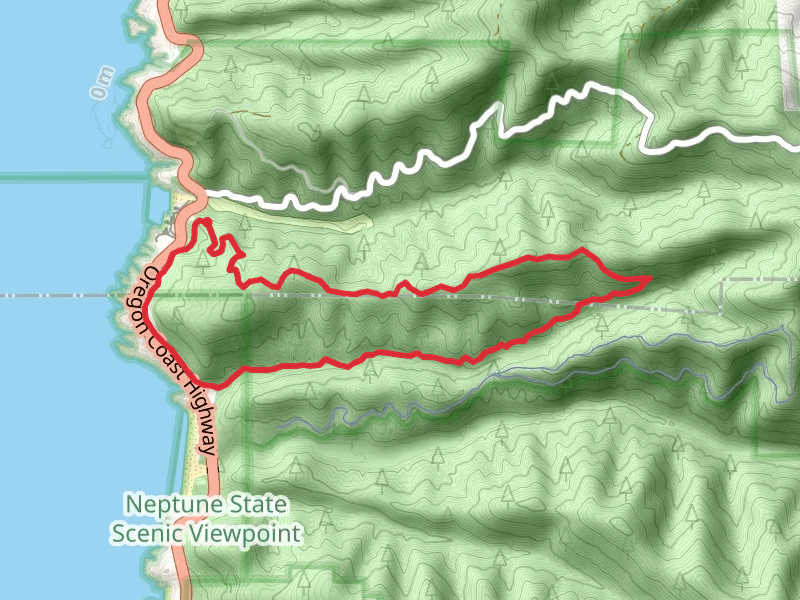 Cook's Ridge Loop via Gwynn Creek