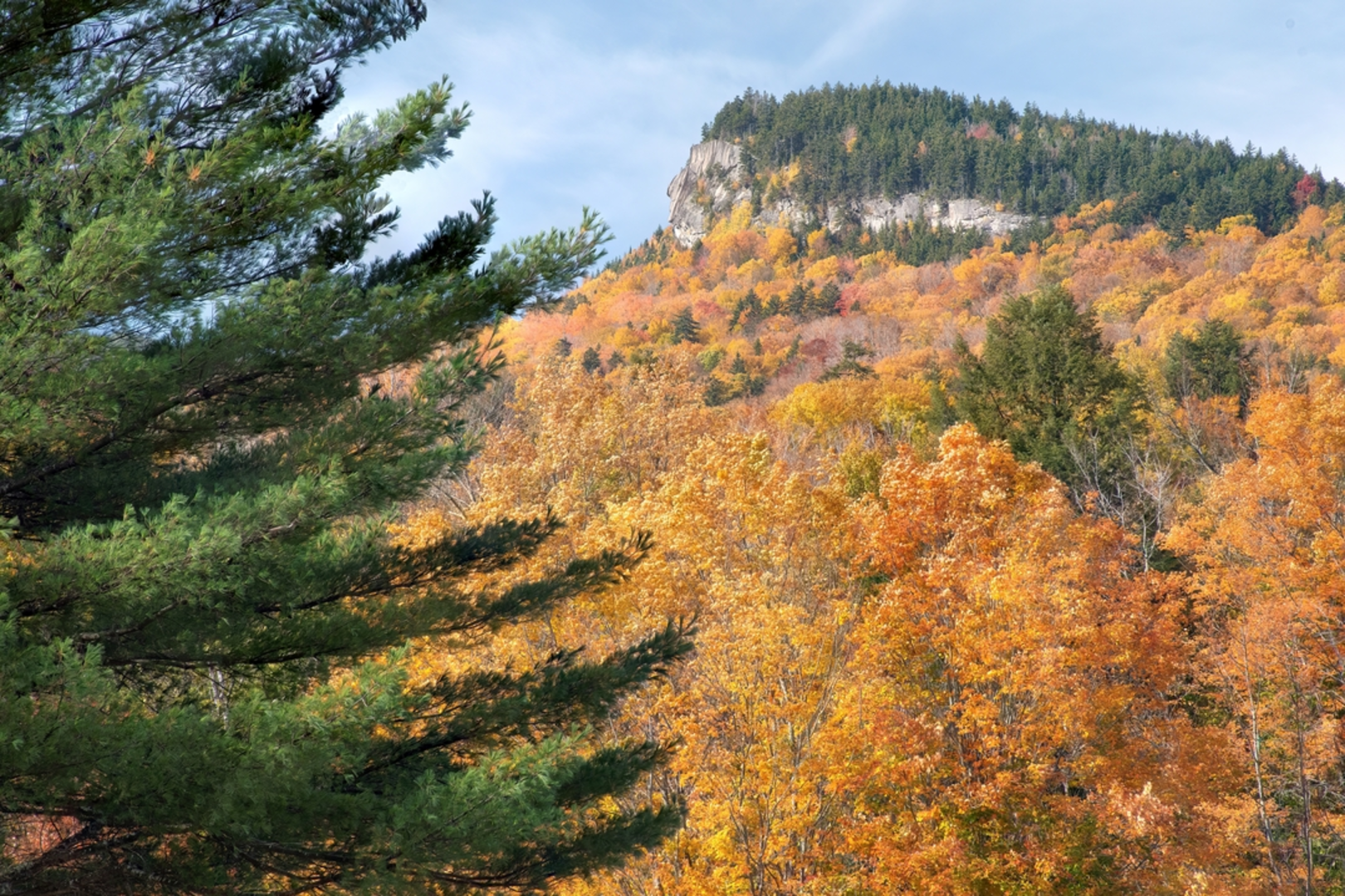 An image depicting the trail Mount Pemigewasset Trail and its surrounding area.