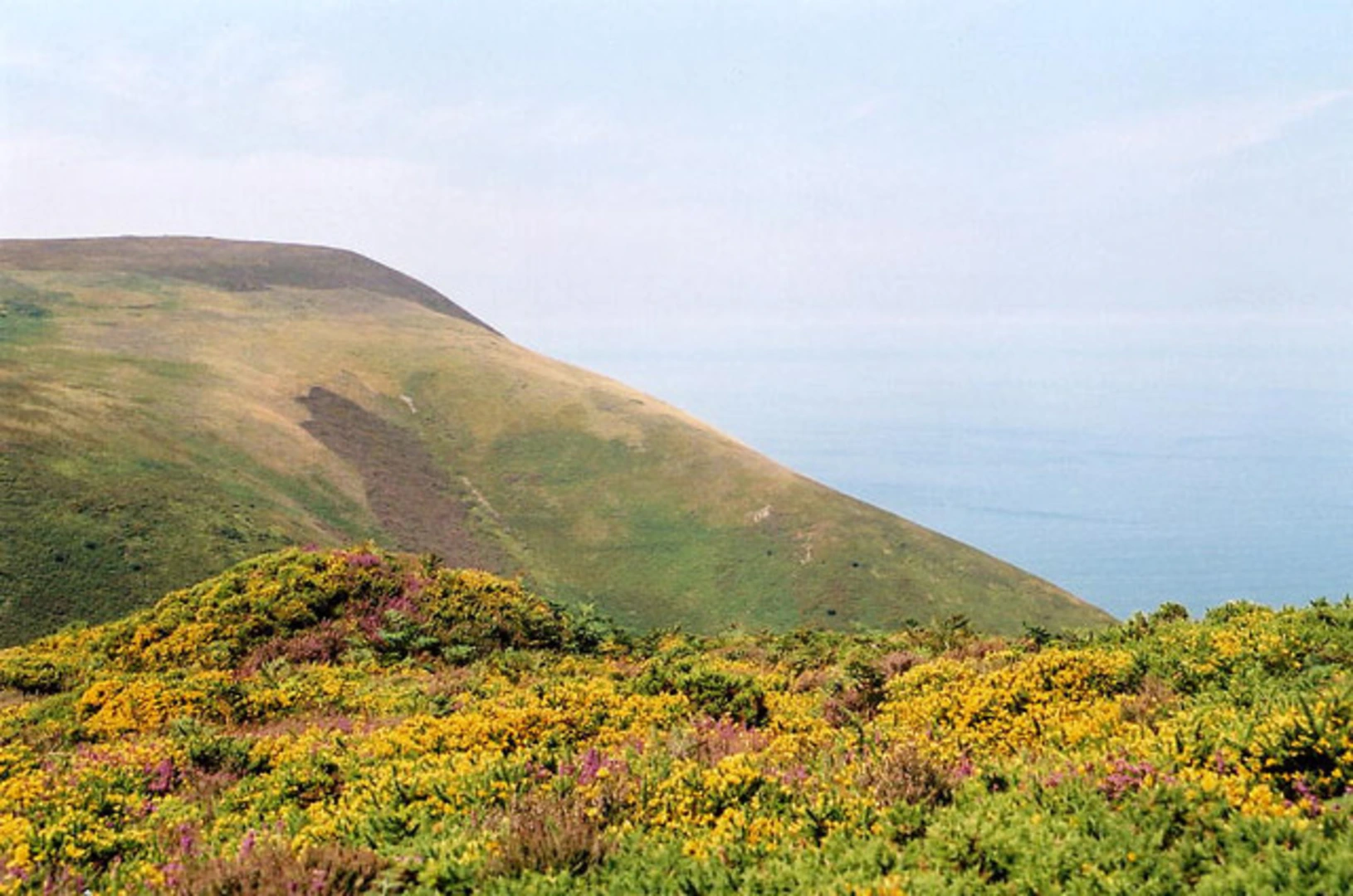 An image depicting the trail Trentishoe Barrows Walk and its surrounding area.
