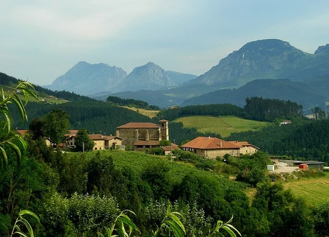 An image depicting the trail Andres Espinosa PR BI 74 and its surrounding area.