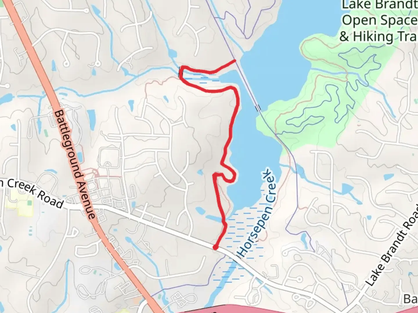 An image depicting the trail Palmetto Trail - Lake Brandt and its surrounding area.