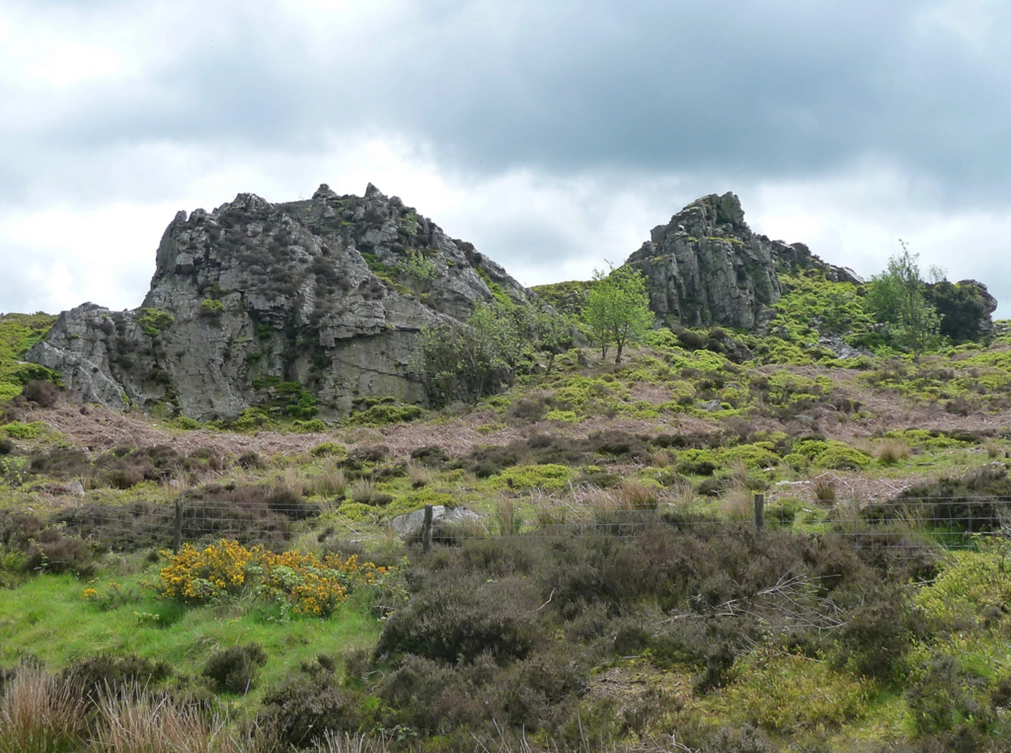 An image depicting the trail Nipstone Rock Nature Reserve and Great Wood House and its surrounding area.
