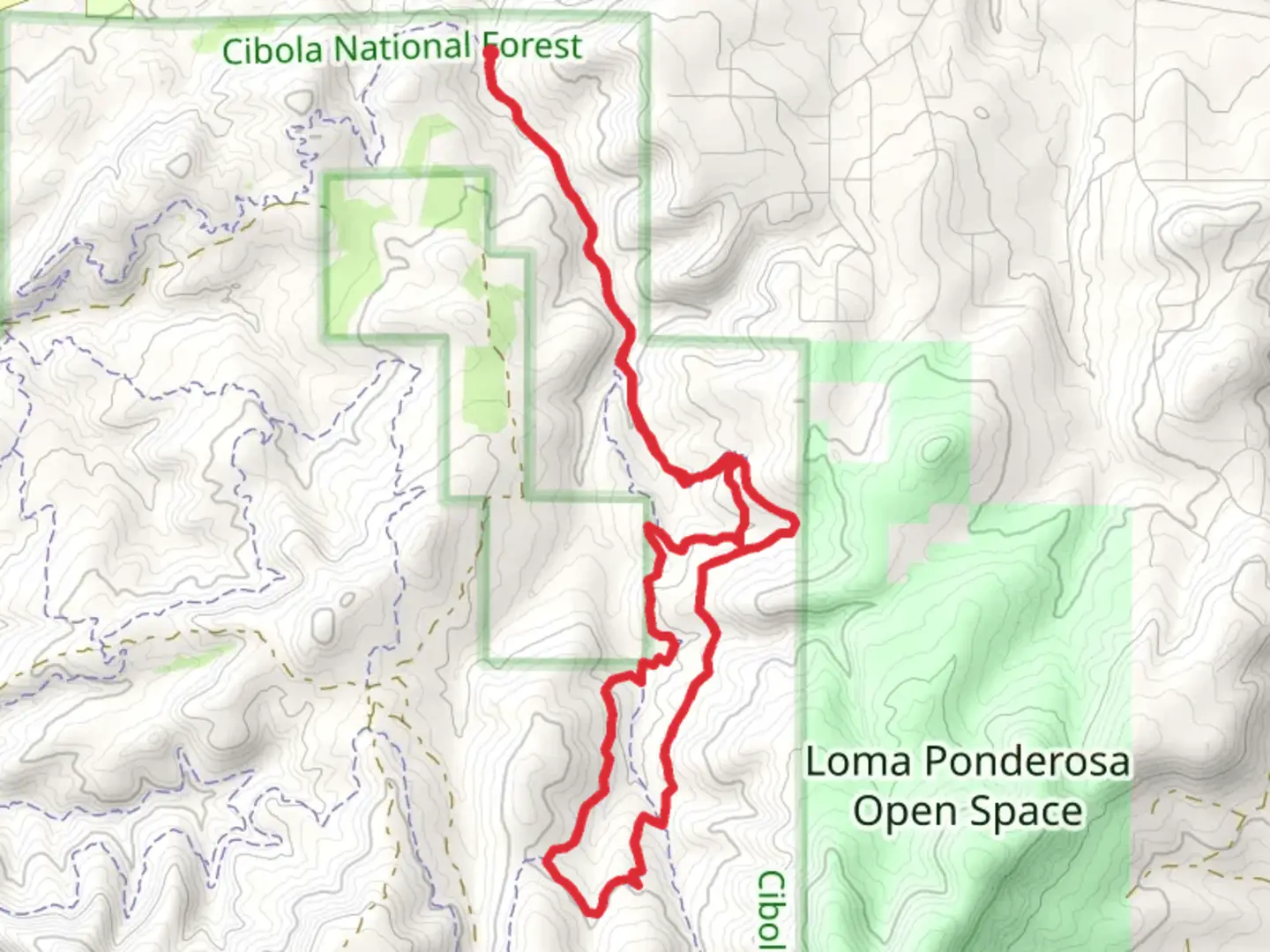 An image depicting the trail Lower Pine, Pinyon and Lone Pine Loop and its surrounding area.
