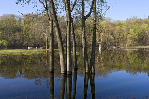 An image depicting the trail Lake Rebecca Loop and its surrounding area.
