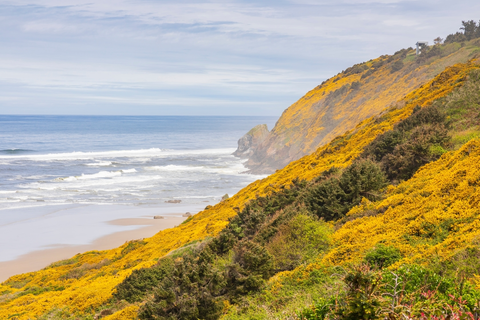 Baker Beach Trail