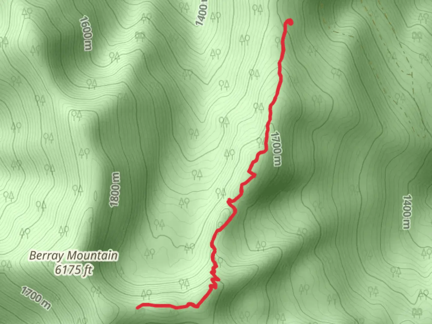 An image depicting the trail Berray Mountain West Trail and its surrounding area.