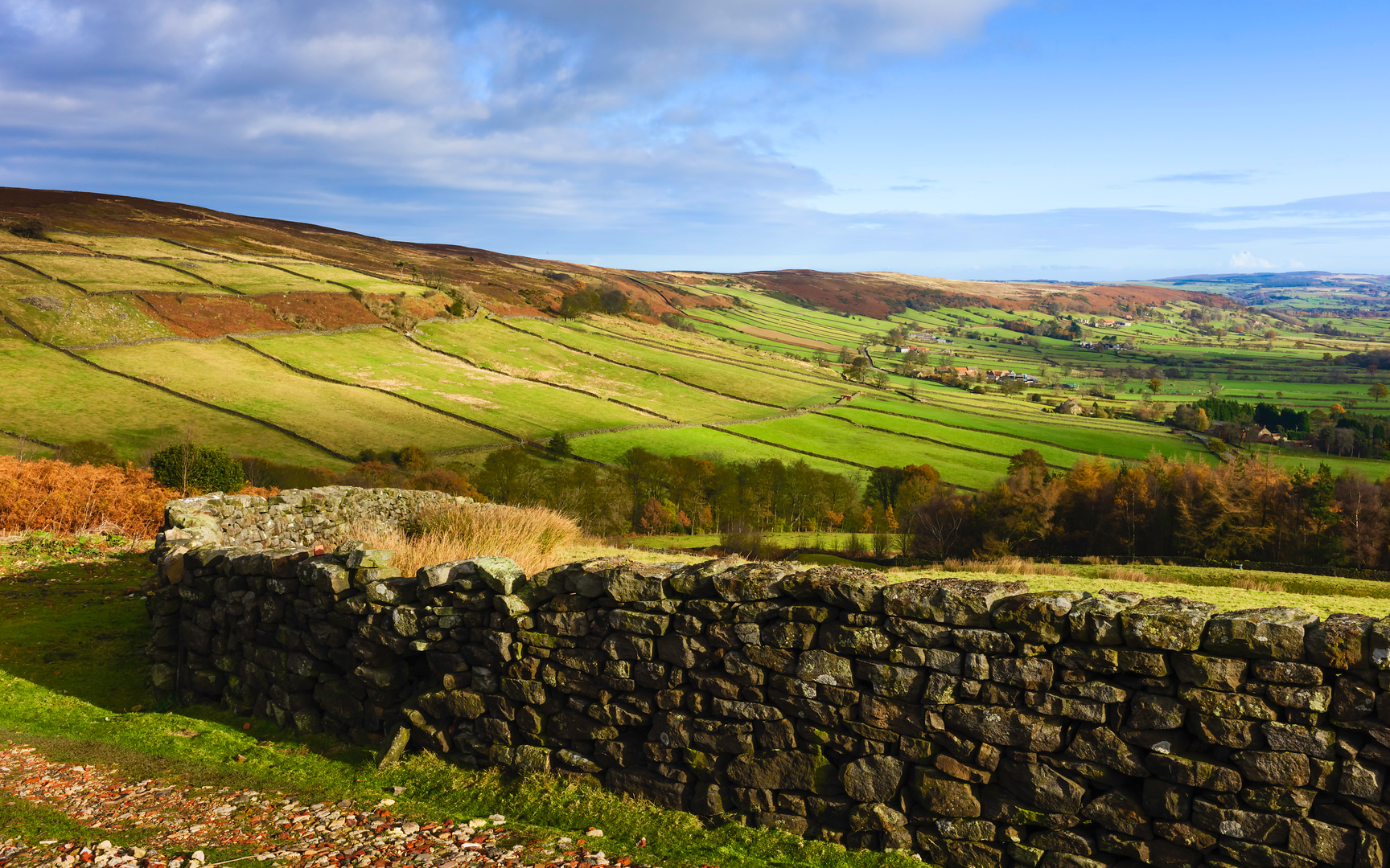An image depicting the trail Esk Valley Walk and its surrounding area.