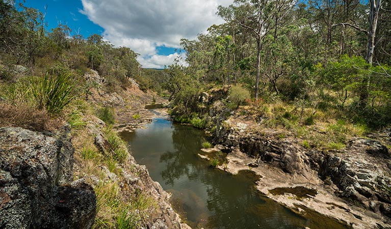 An image depicting the trail Koreelah National Park and its surrounding area.