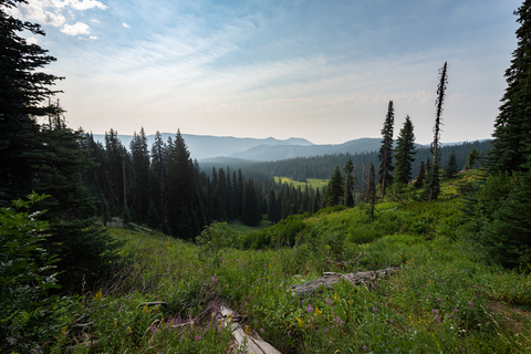 An image depicting the trail Newton Creek via Elk Meadows Trail and its surrounding area.