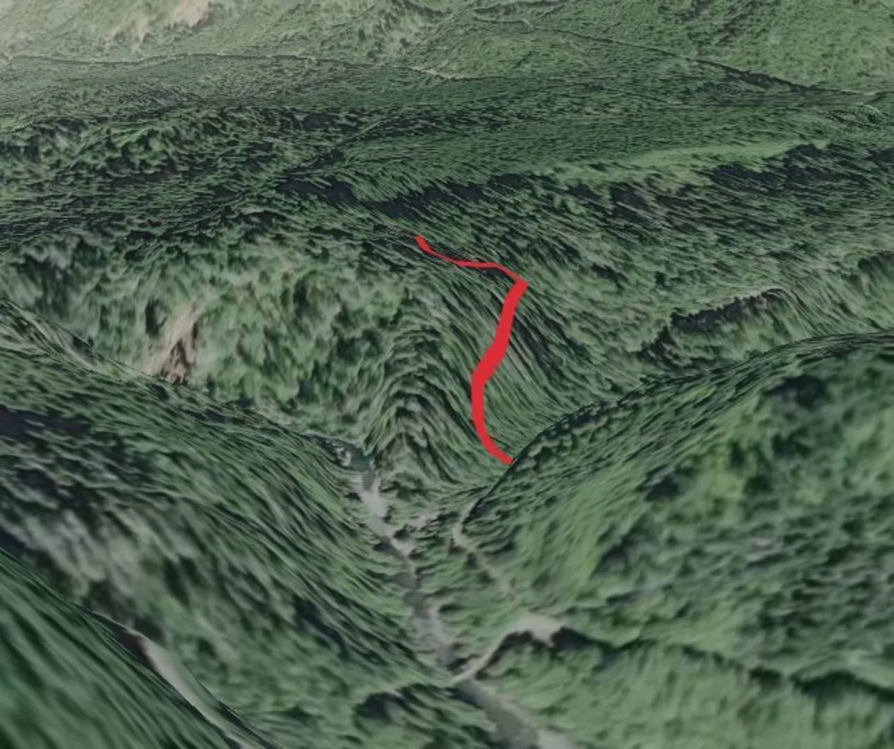 An image depicting the trail Lower Sf Skokomish - Lebar Creek Trail and its surrounding area.