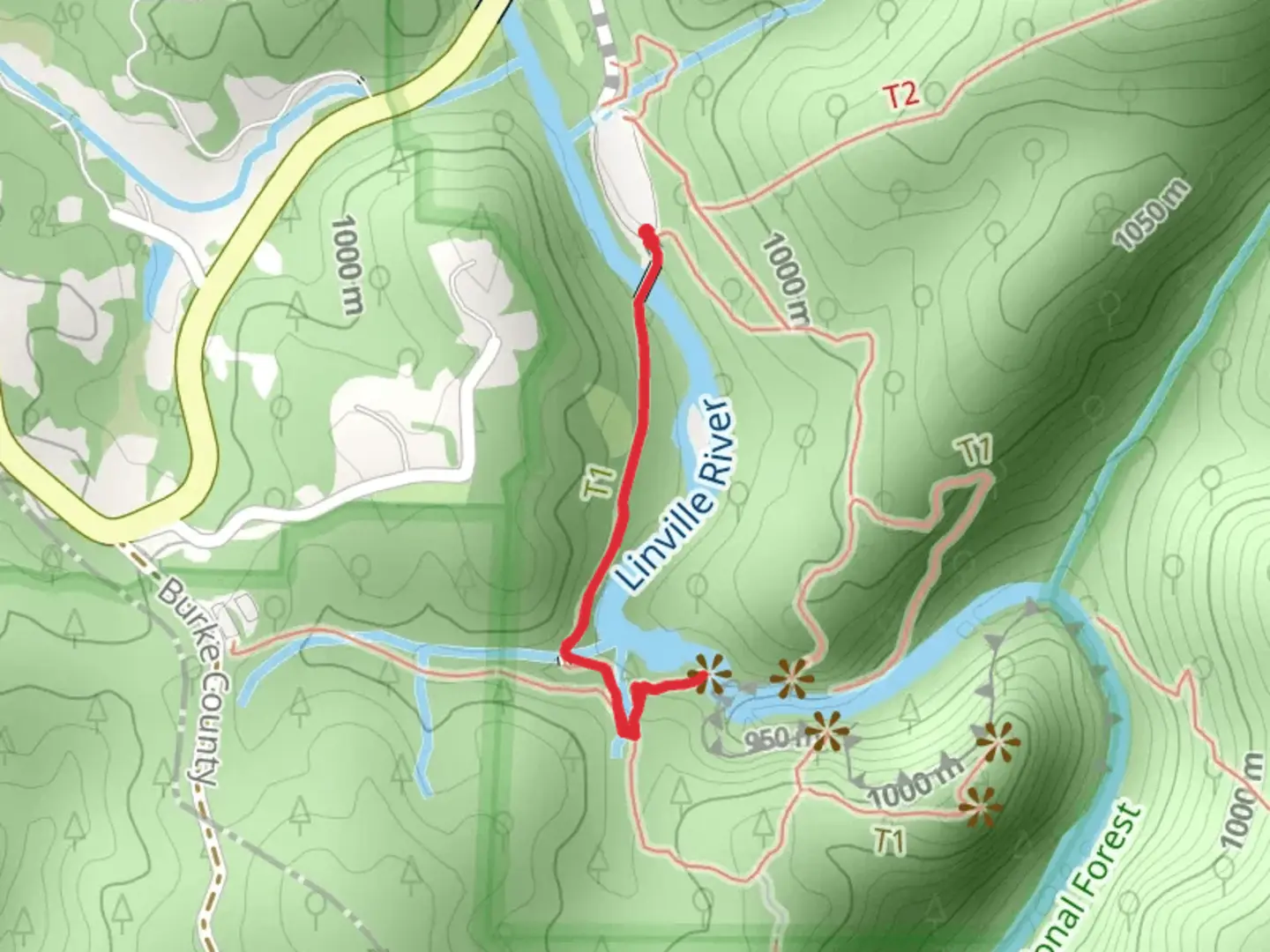 An image depicting the trail Erwin's View Trail and its surrounding area.