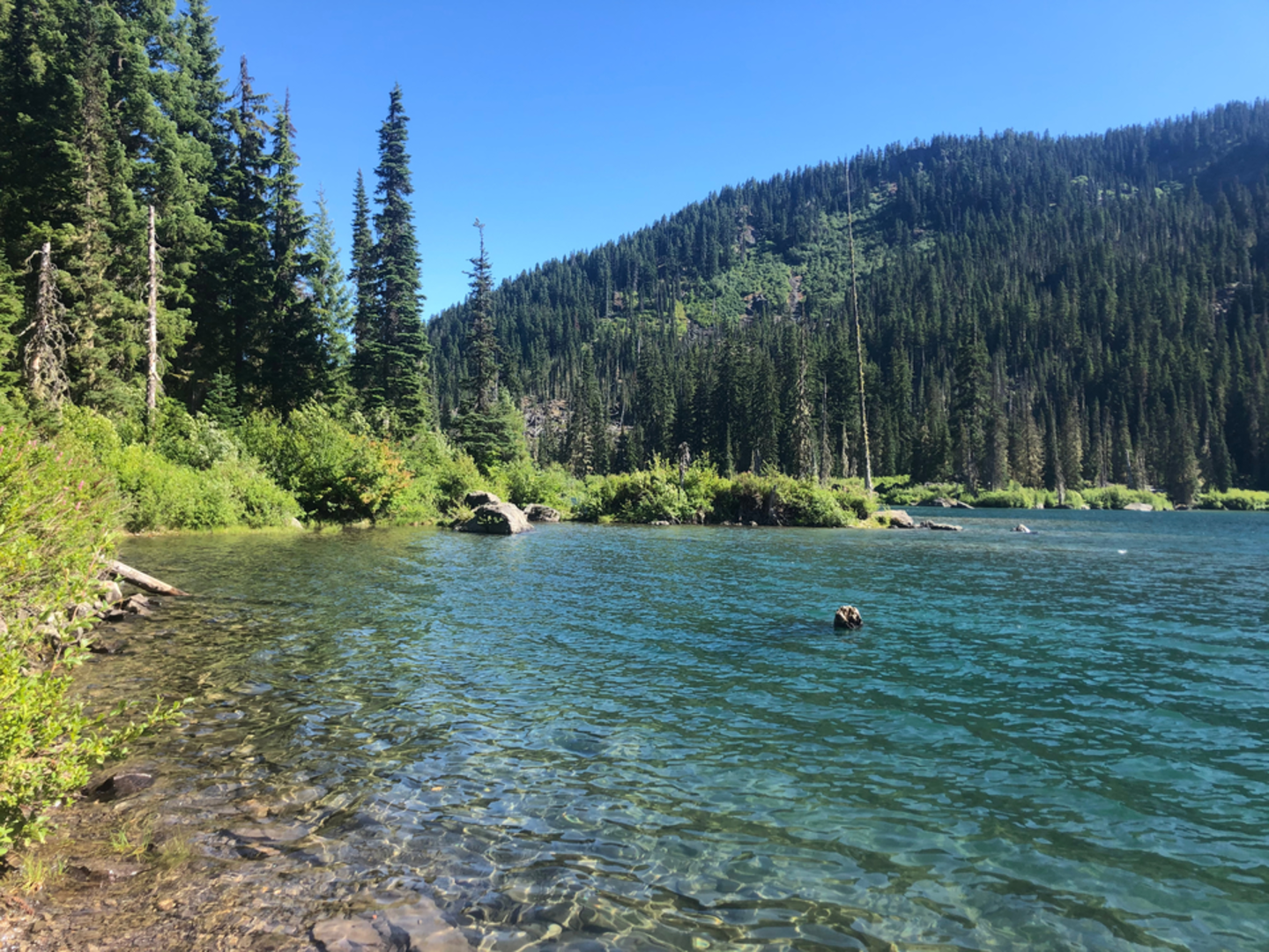 An image depicting the trail Tired Creek via Pete Lake Trail and its surrounding area.