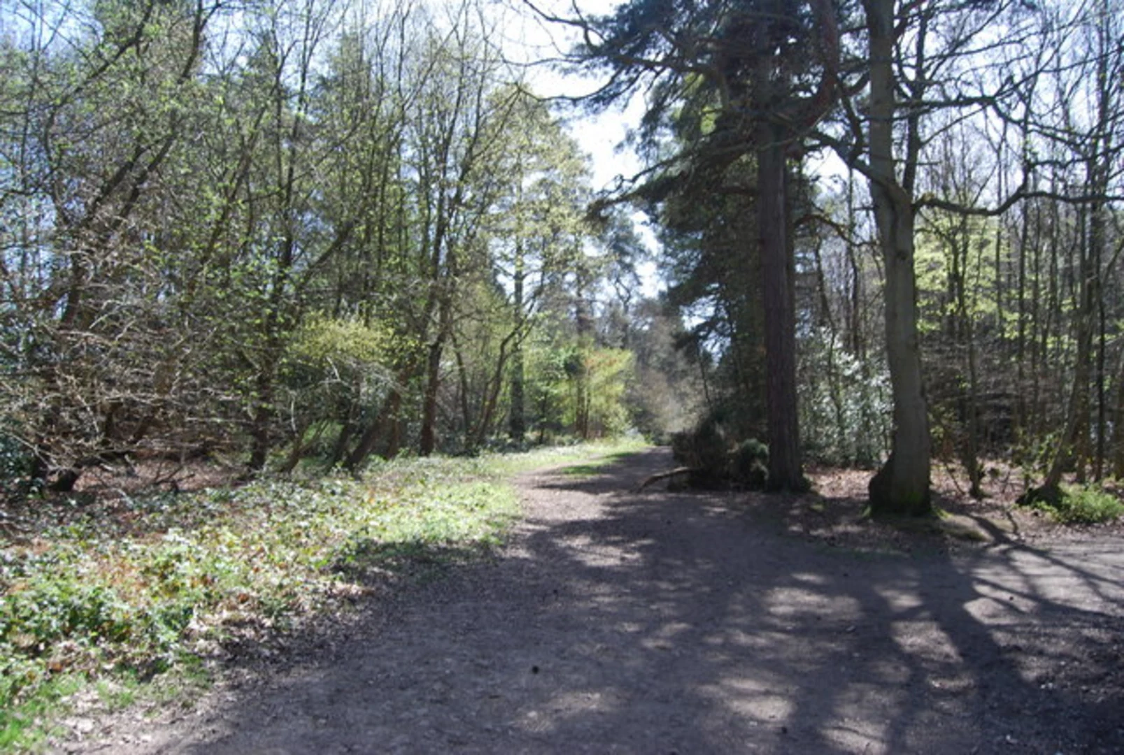 An image depicting the trail Oxted Country Park Loop and its surrounding area.
