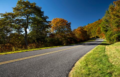 An image depicting the trail Avery Creek Loop Trail and its surrounding area.