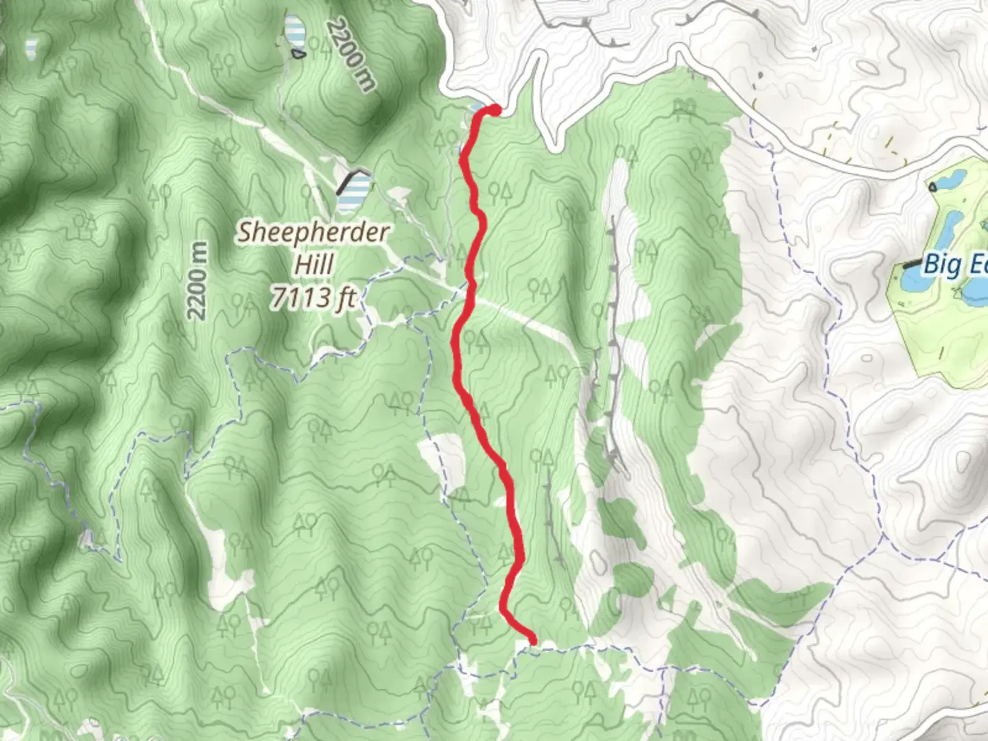 An image depicting the trail Shram Creek and Lizard Lake Trail and its surrounding area.