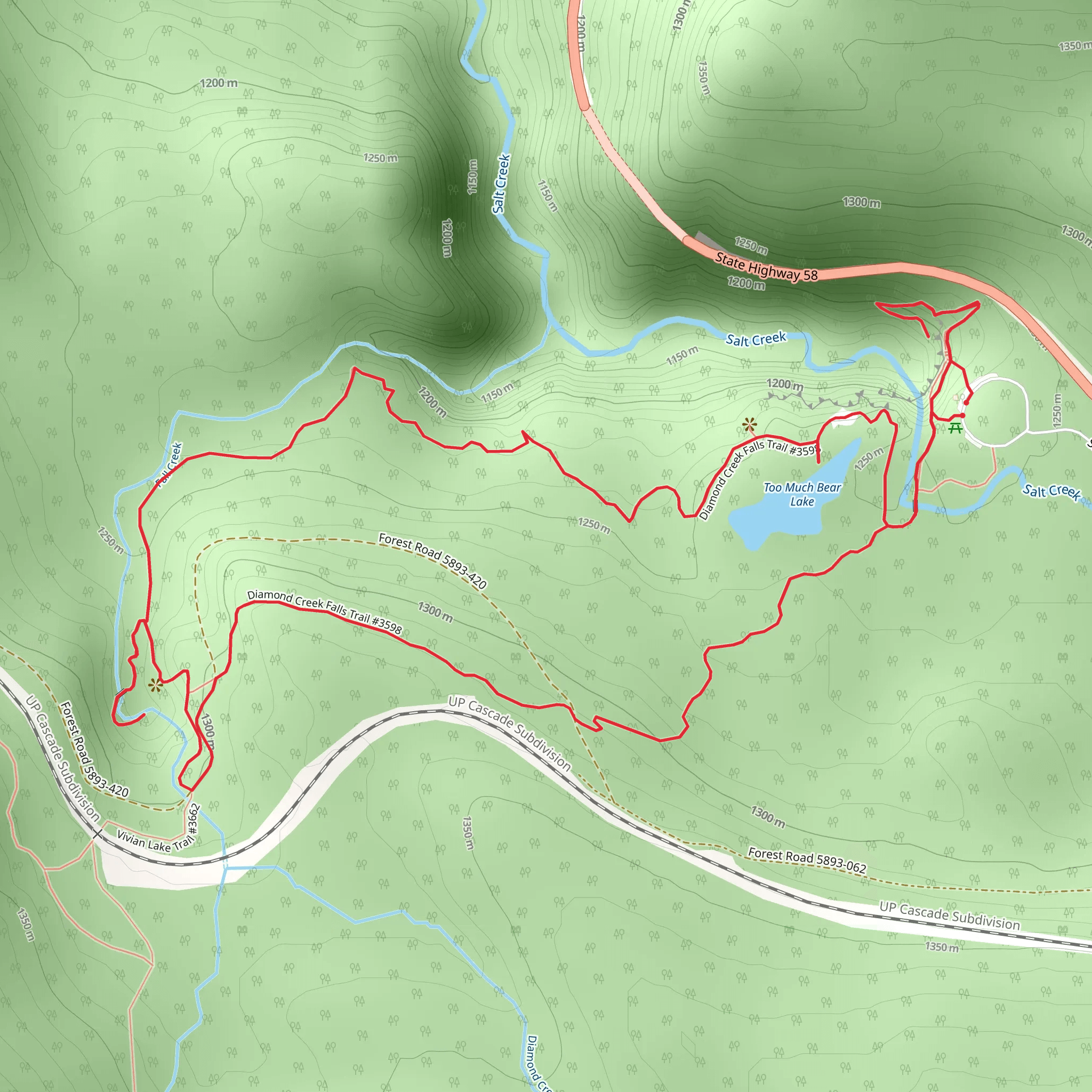 Too Much Bear Lake and Diamond Creek Falls Loop Trail mobile static map