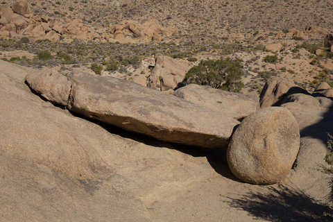 An image depicting the trail Split Rock Loop Trail and its surrounding area.