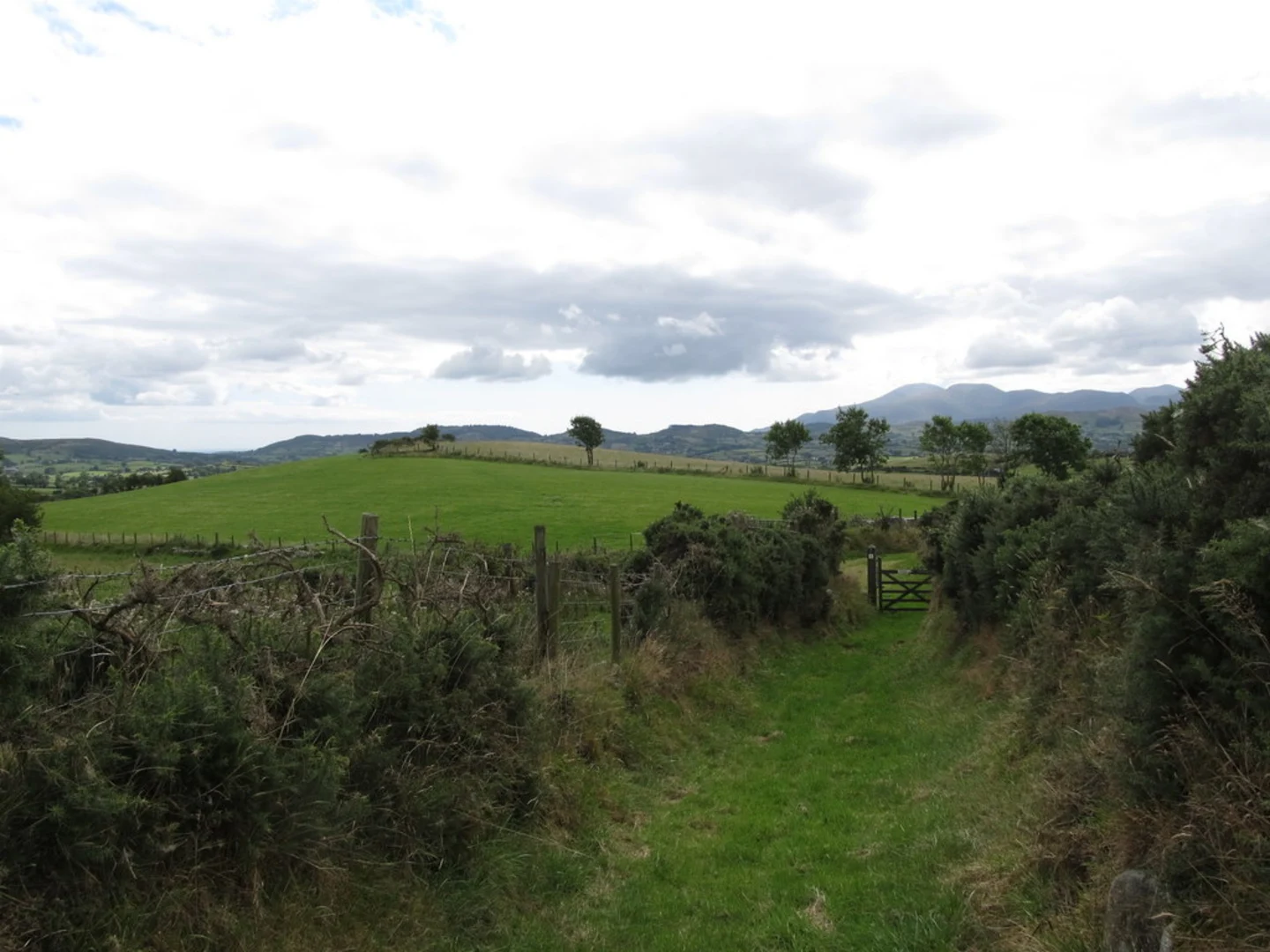 An image depicting the trail Carney Walk and its surrounding area.