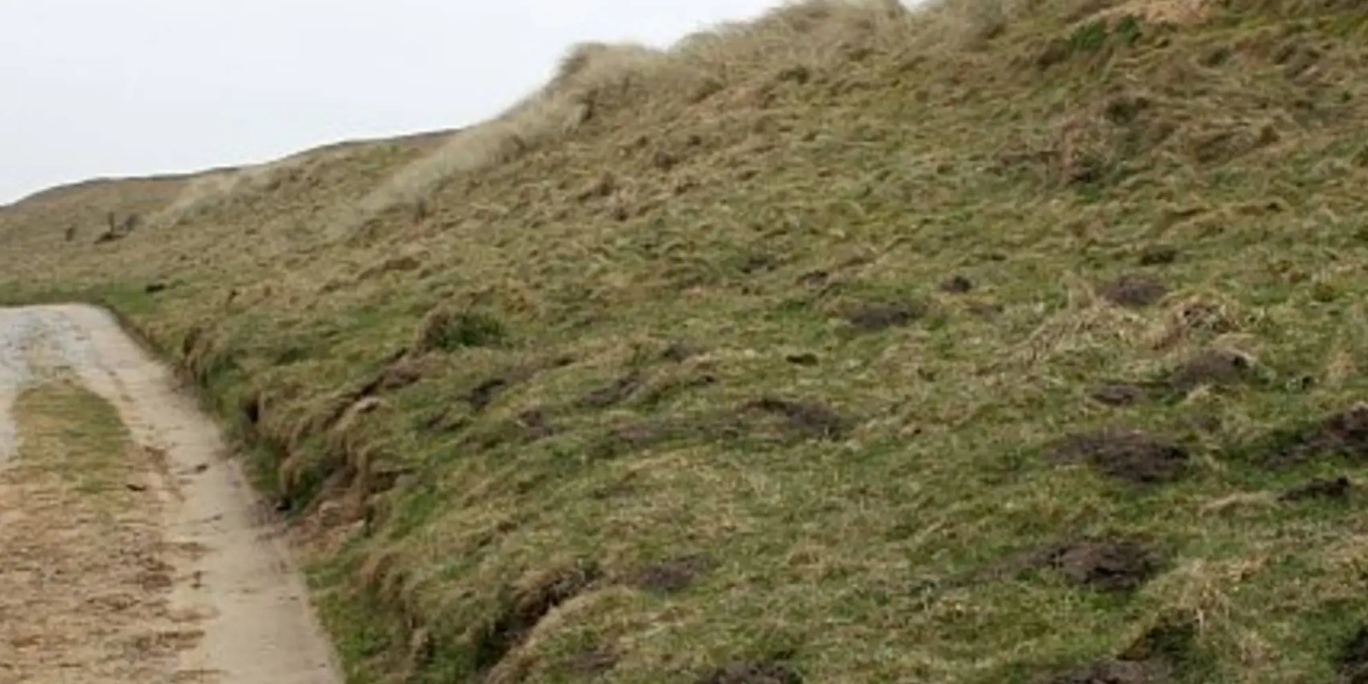 An image depicting the trail Cubert Common Walk and its surrounding area.