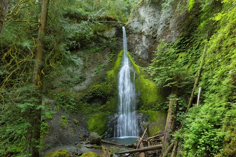 An image depicting the trail Aurora Divide via Marymere Falls Nature Trail and its surrounding area.