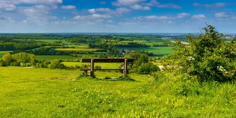 An image depicting the trail The Wye Downs and Crundale and its surrounding area.