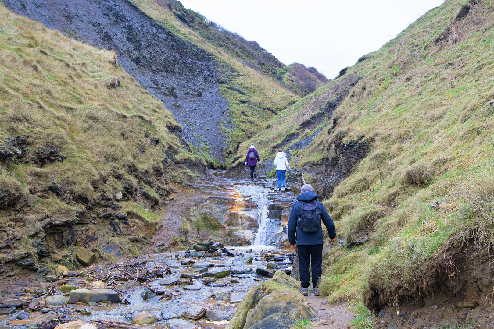 An image depicting the trail Runswick Bay Walk and its surrounding area.