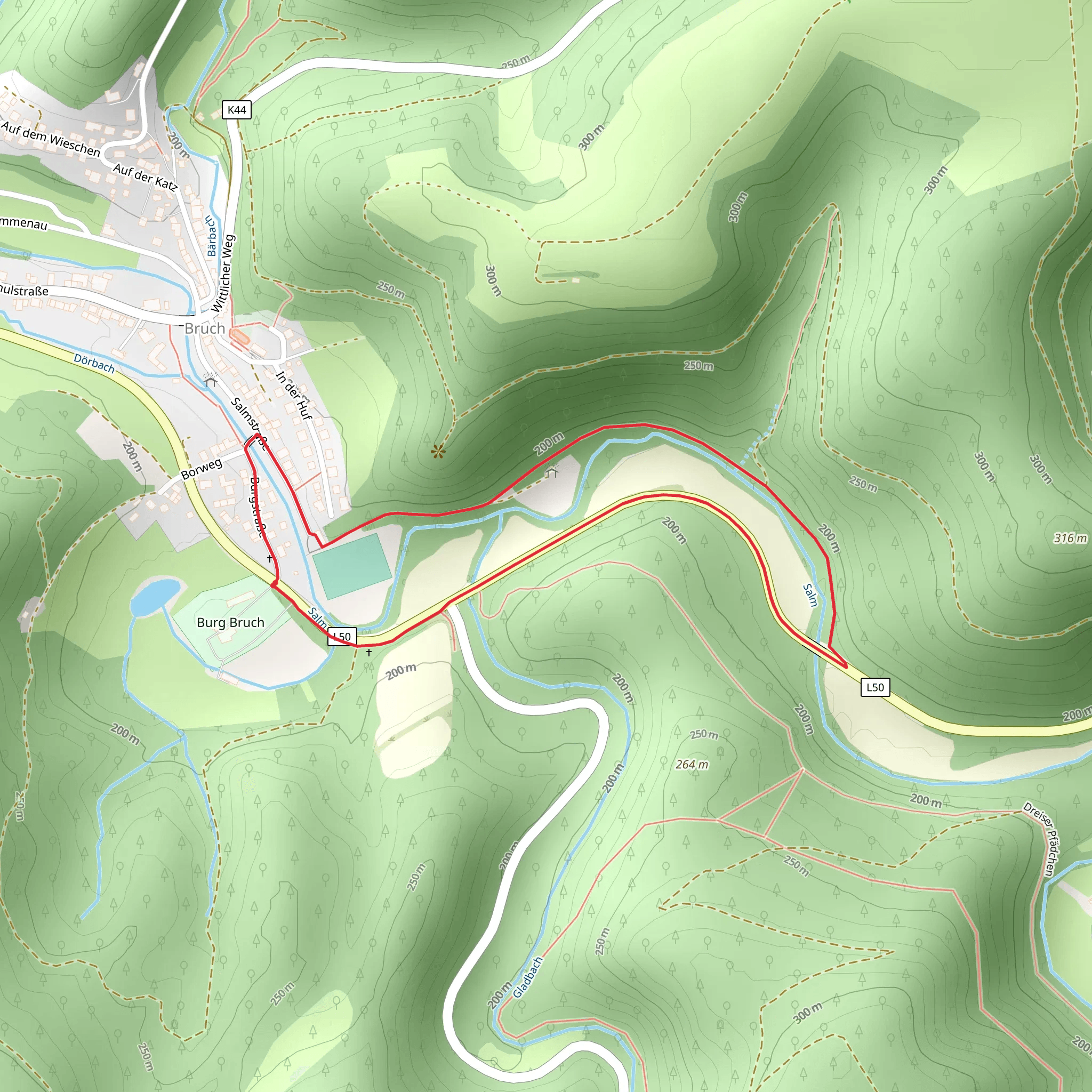 Salm Loop via Eifelsteig mobile static map