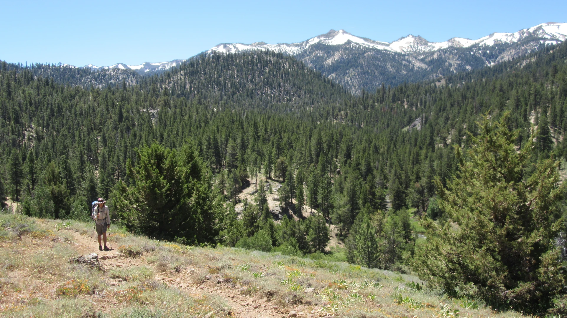 An image depicting the trail Soda Cone Mountain via Snodgrass Creek Trail and its surrounding area.