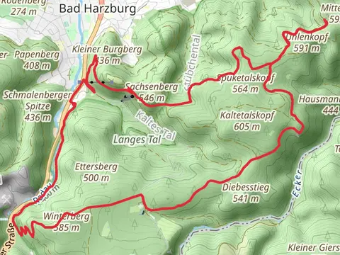 Sachsenberg, Mittelberg and Hasselteich Loop