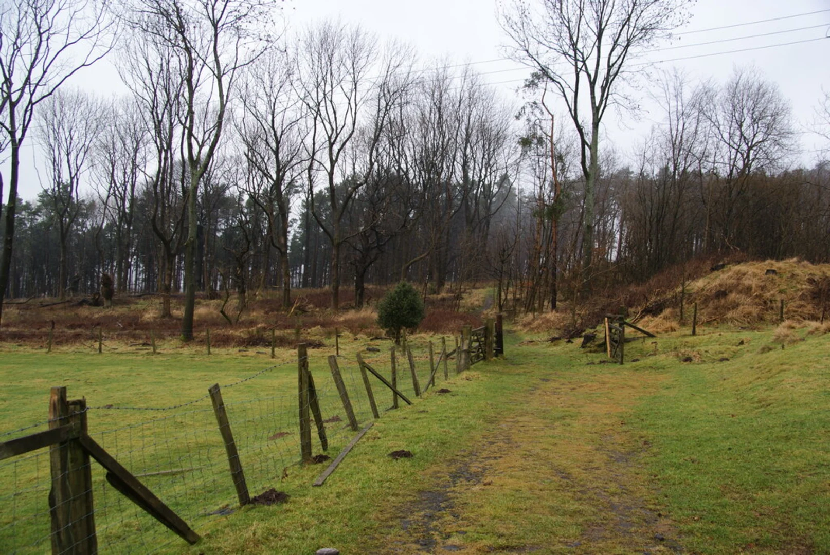 An image depicting the trail Spring Wood and Whalley Country Park Loop and its surrounding area.