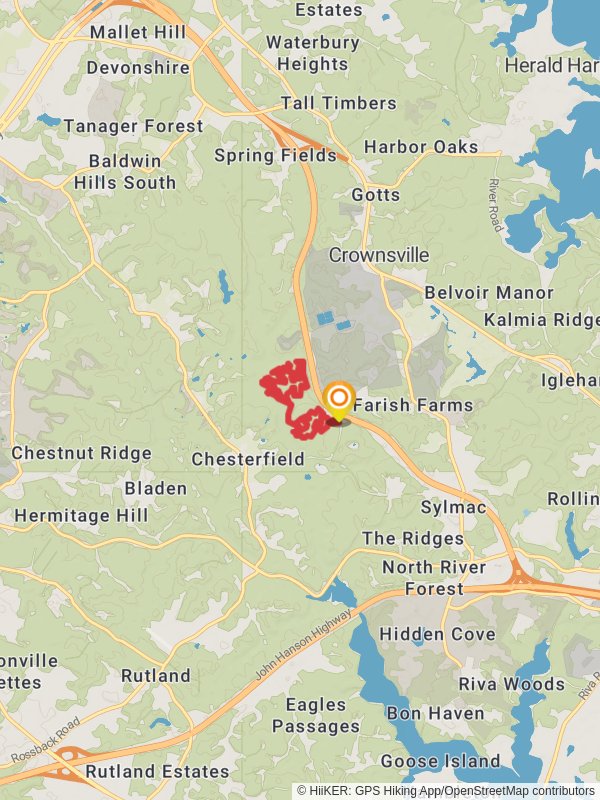 Box Turtle - Thru T- Wolf Loop Trail