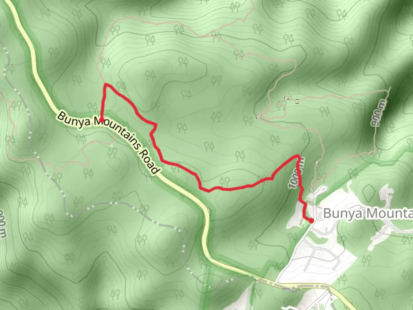 An image depicting the trail Dandabah to Paradise Track and its surrounding area.