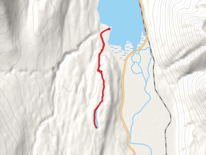 Primrose Campground South Walk - Kenai Lake