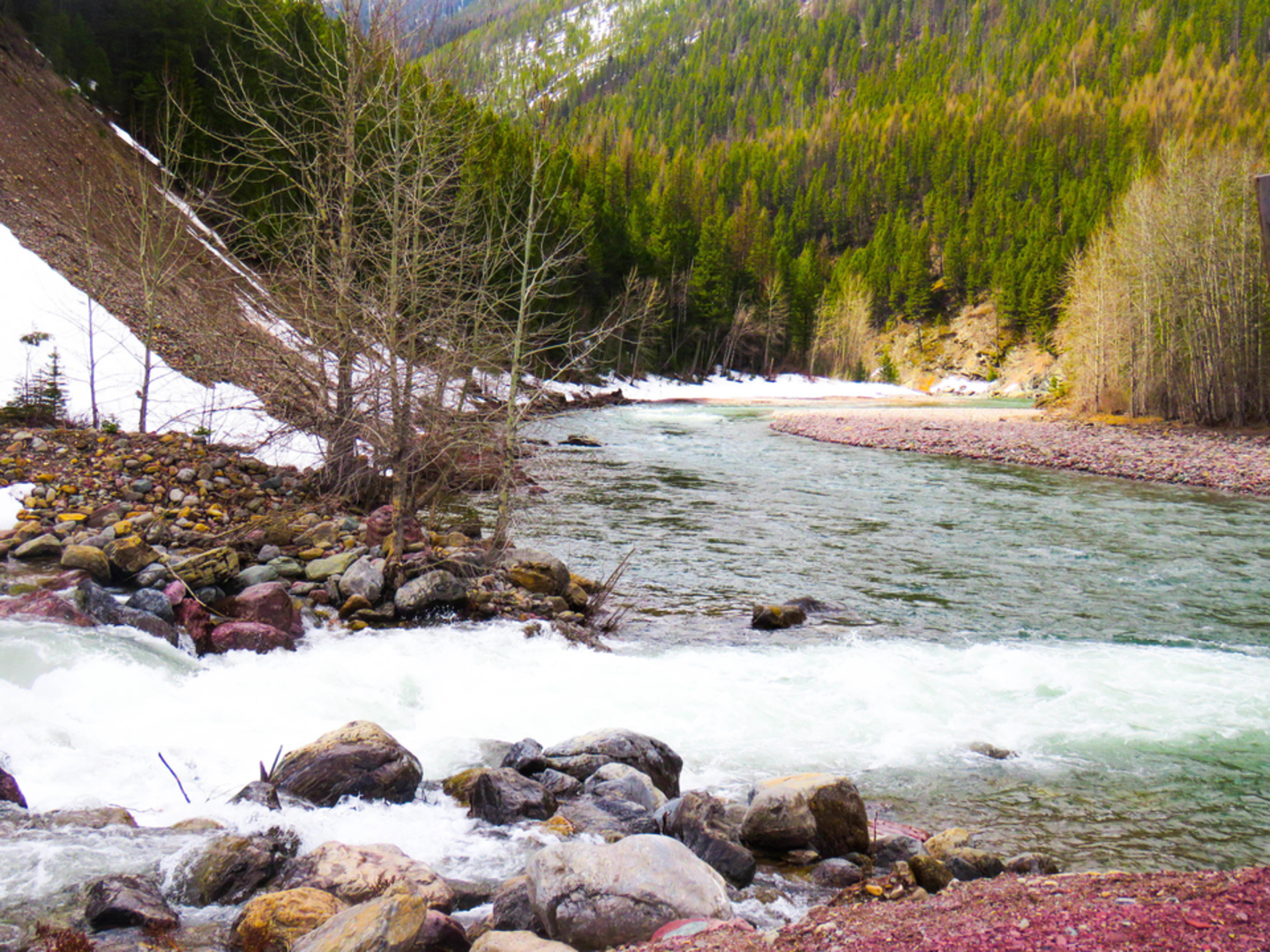 An image depicting the trail South Boundary Trail Out and Back and its surrounding area.