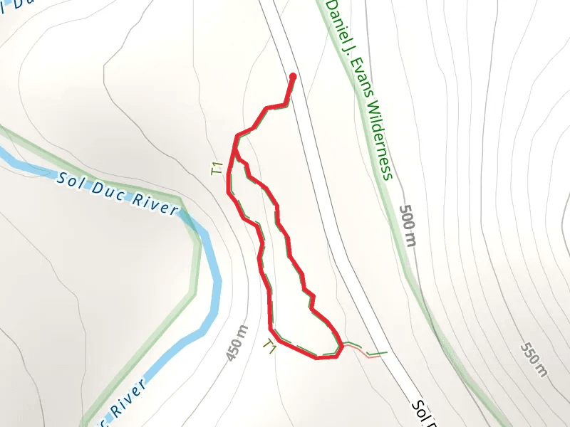 Ancient Groves Nature Loop Trail