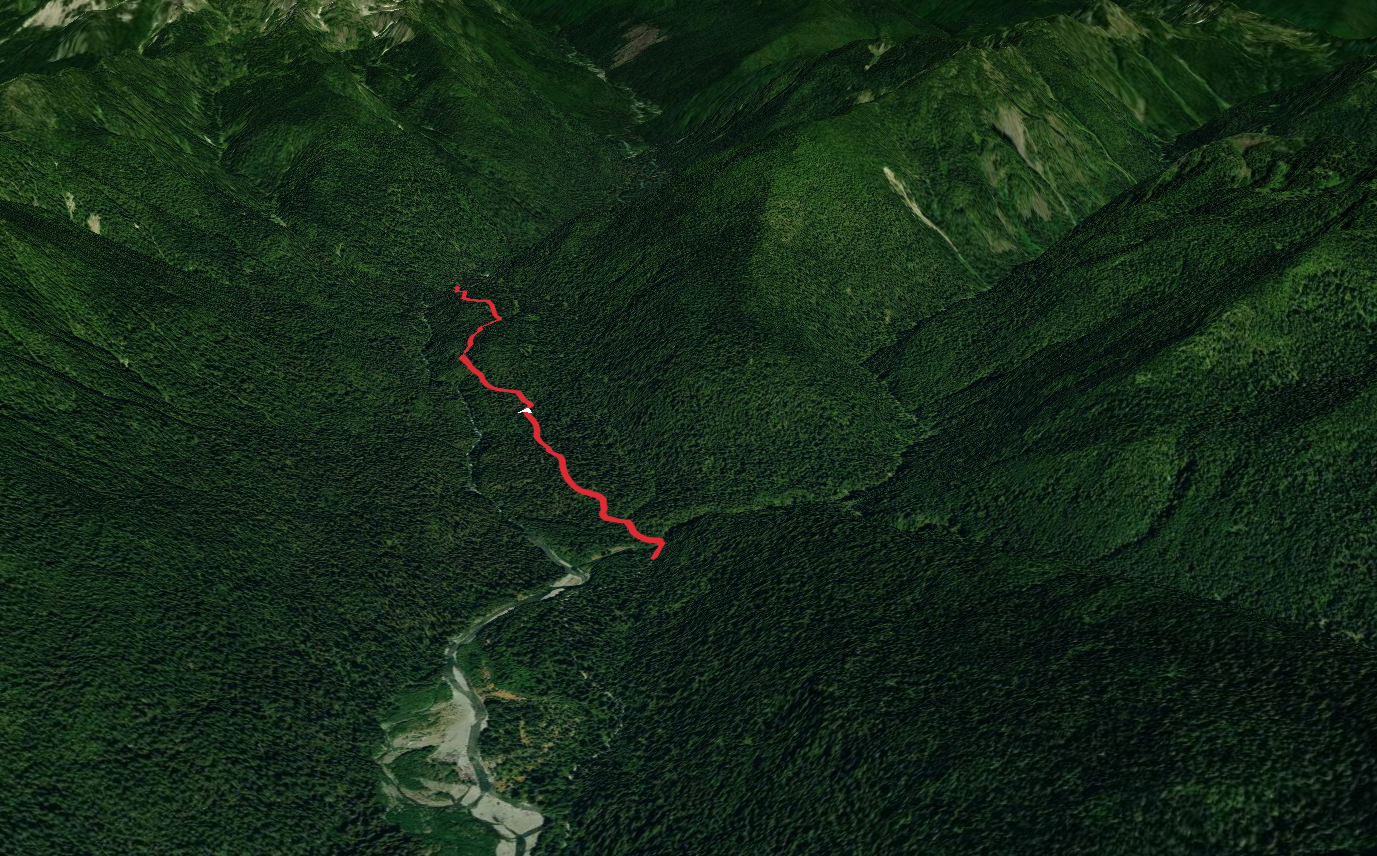 Pony Bridge Camp via East Fork Quinault River Trail