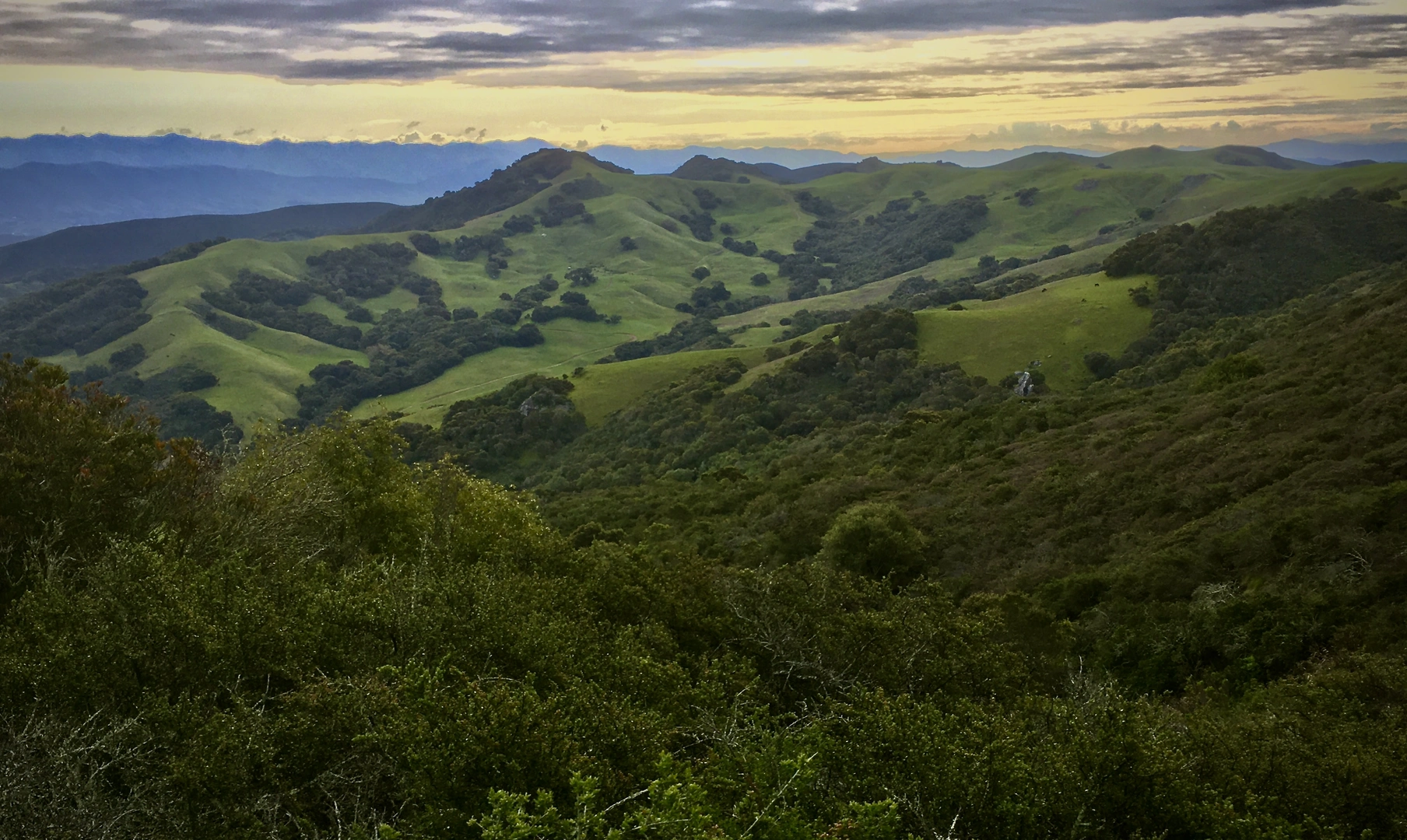 An image depicting the trail Sterling and Mariposa Walk and its surrounding area.