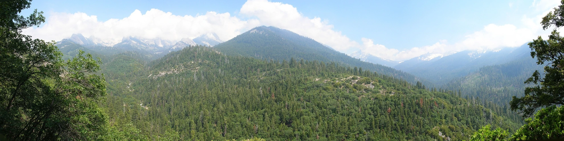 An image depicting the trail South Fork Kaweah Trail and its surrounding area.