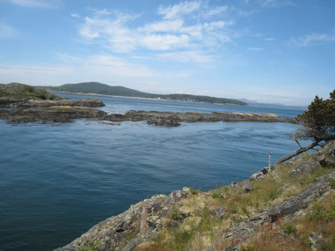High Ridge Trail and Wittenberg Trail