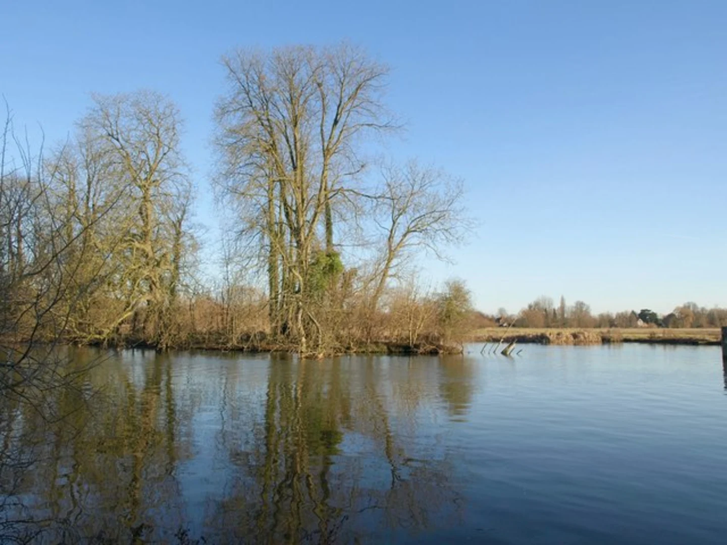 An image depicting the trail Harpsden Wood, Marsh Meadows and River Thames Loop and its surrounding area.